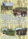 Safarijakt Sør-Afrika thumbnail