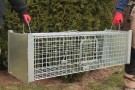 Stor rev og hundefelle . 150x34x34 cm thumbnail