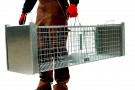 Stor rev og hundefelle . 150x34x34 cm thumbnail