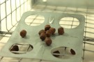Kattefelle 82x20x27 thumbnail