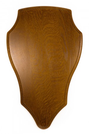 Trofeplate for elg 50x30 cm