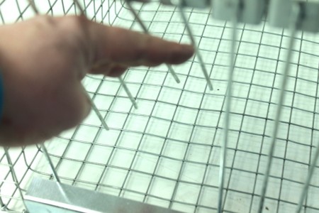 Fuglefelle med to innganger