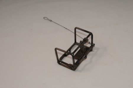 Koro Mole Trap