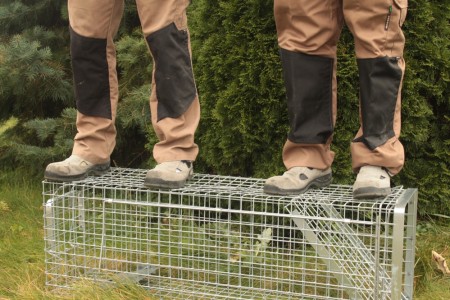 Medium levende felle for rev og grevling. Ekstra forsterket. 120x34x34cm