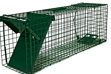 Kattefelle 82x20x27