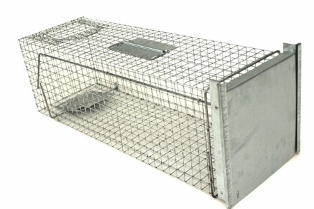 Felle for levende fangst 35x17x17