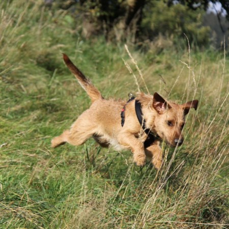  Treningspose til godteri - elgskinn