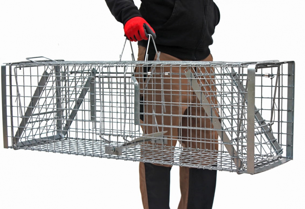 Medium levende felle for rev og grevling. Ekstra forsterket